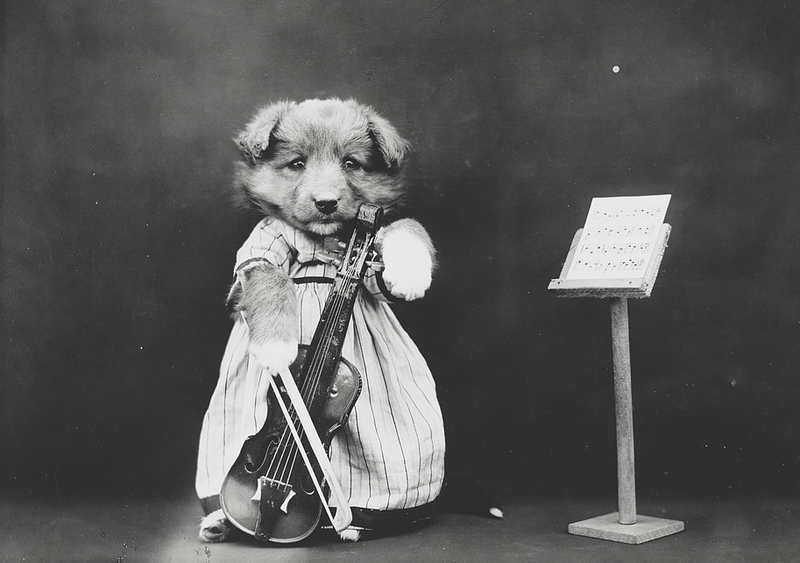Illustration for article titled Even In The 1900s, Humans Were Obsessed With Photos Of Dogs In Clothes